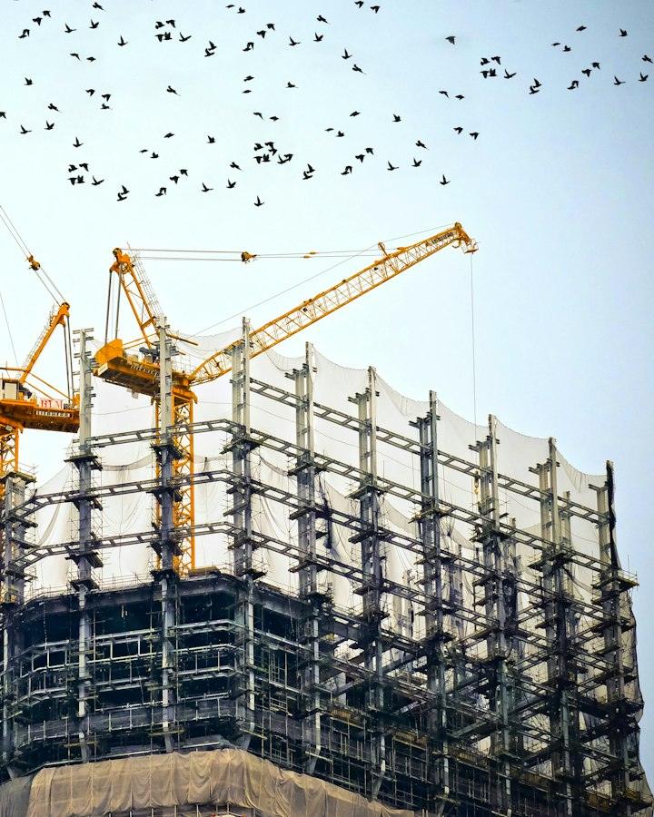 Tower cranes over a building frame under construction