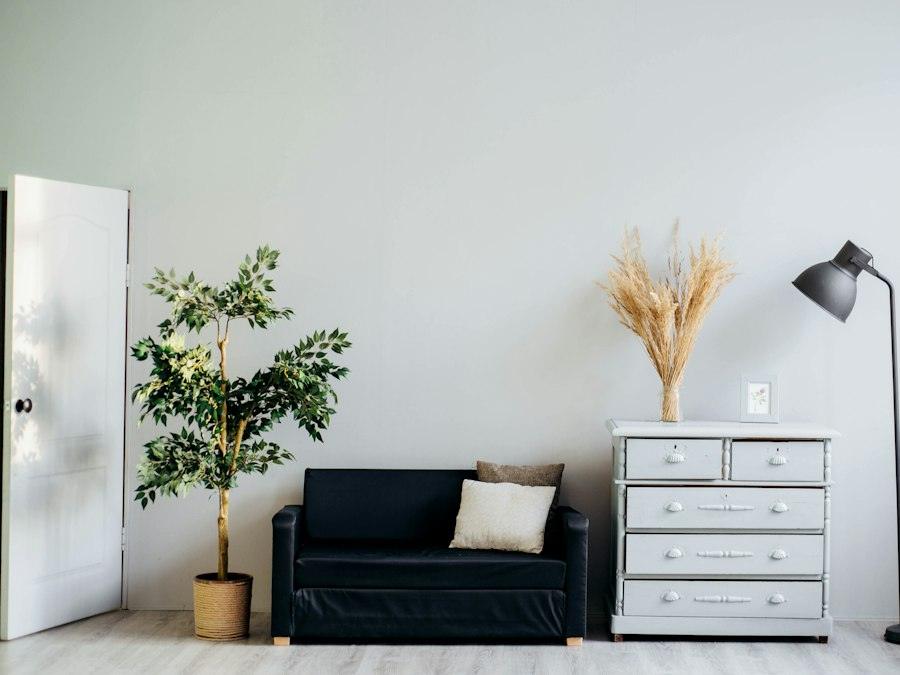 Calm, minimal room with a sofa, a chest of drawers and plants